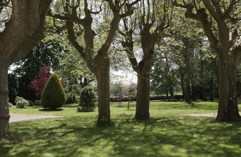 ブラセ Chateau De La Flechere Bed & Breakfast エクステリア 写真