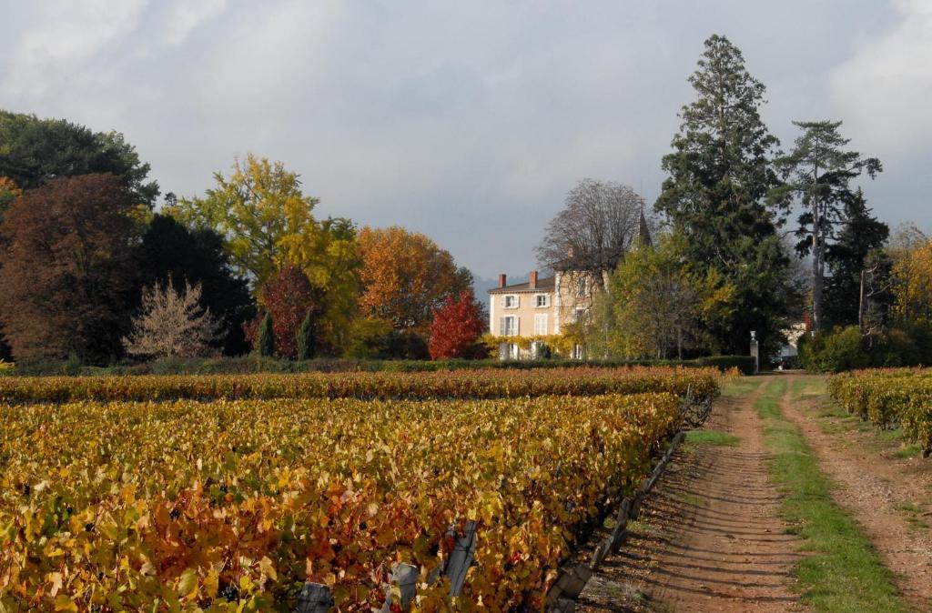 ブラセ Chateau De La Flechere Bed & Breakfast エクステリア 写真